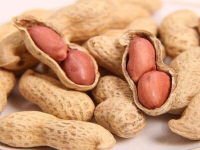 1kg Natural & Organic and Purity of Nature - ORGANIC & PURITY OF NATURE Roasted Groundnut With Shell | Bhuni Sabut Mungfali 1 Kg